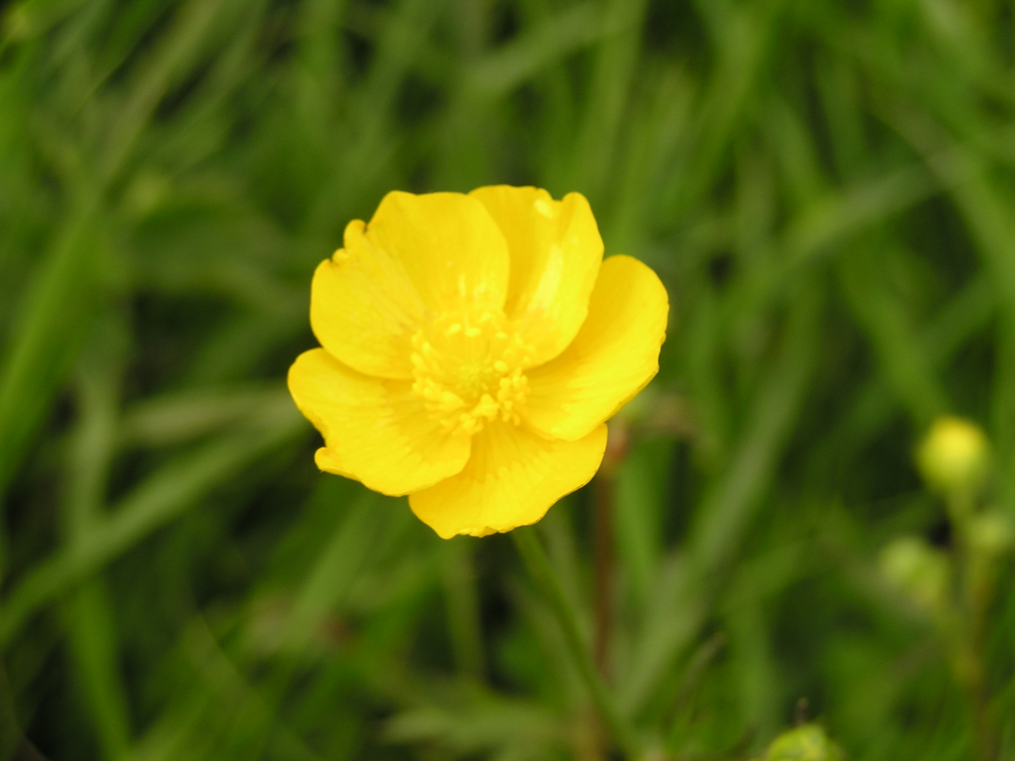 P1010037.JPG