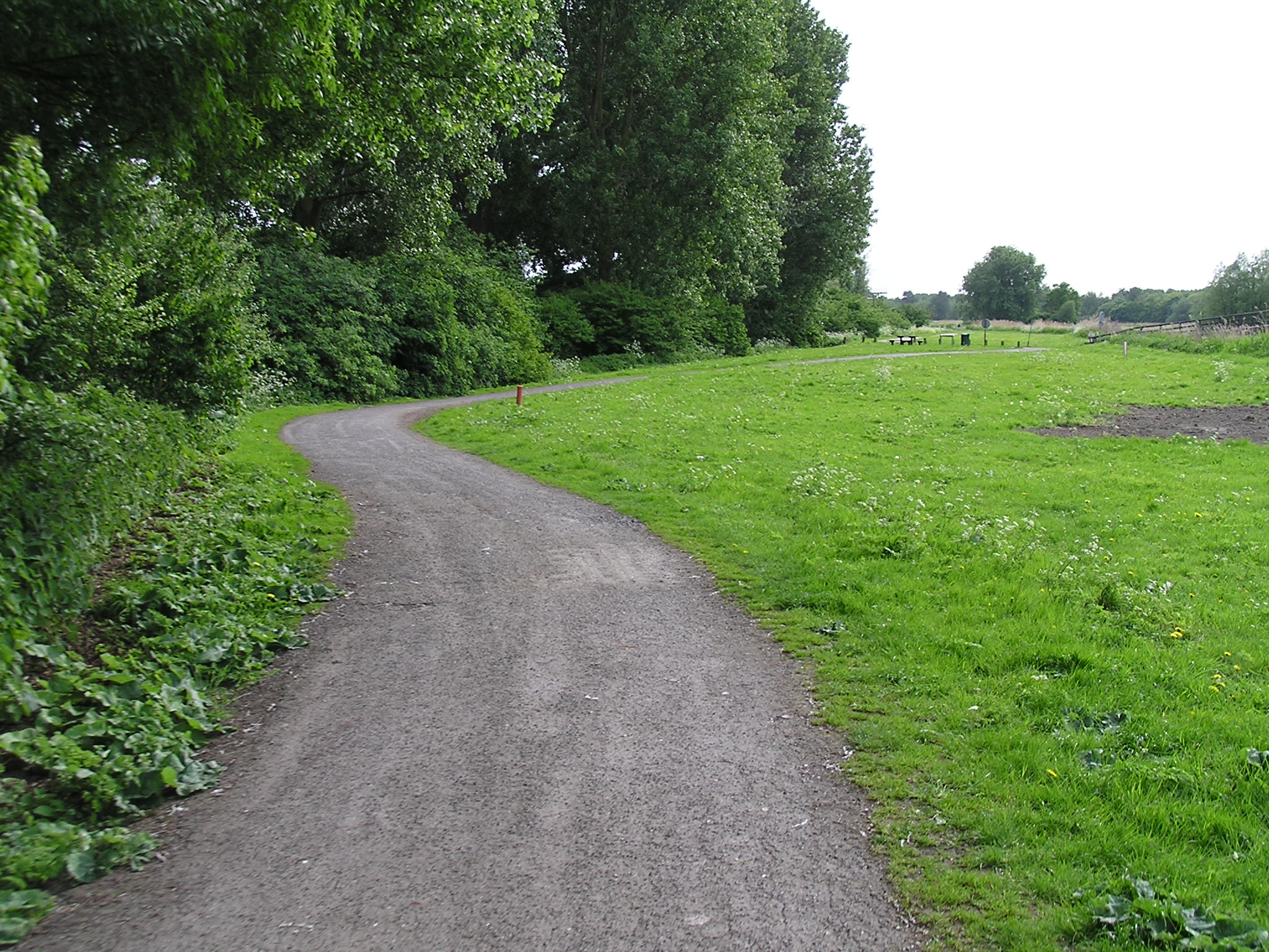 P1010041.JPG