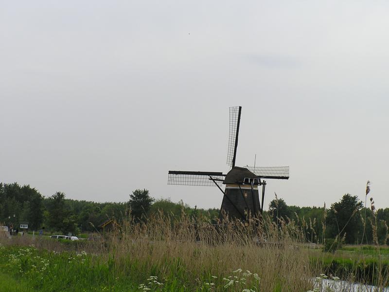 P1010046.JPG