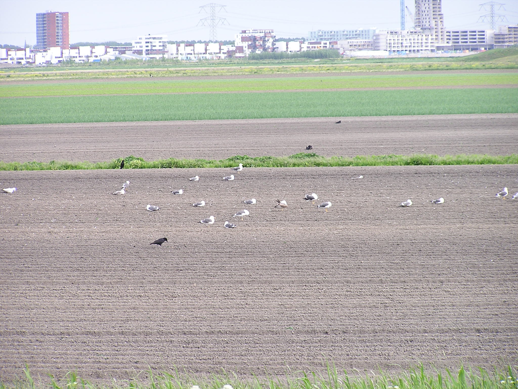 P1010047.JPG