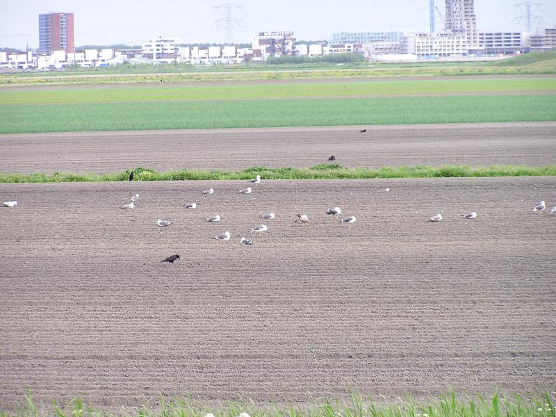 P1010047.JPG