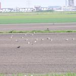 P1010047.JPG
