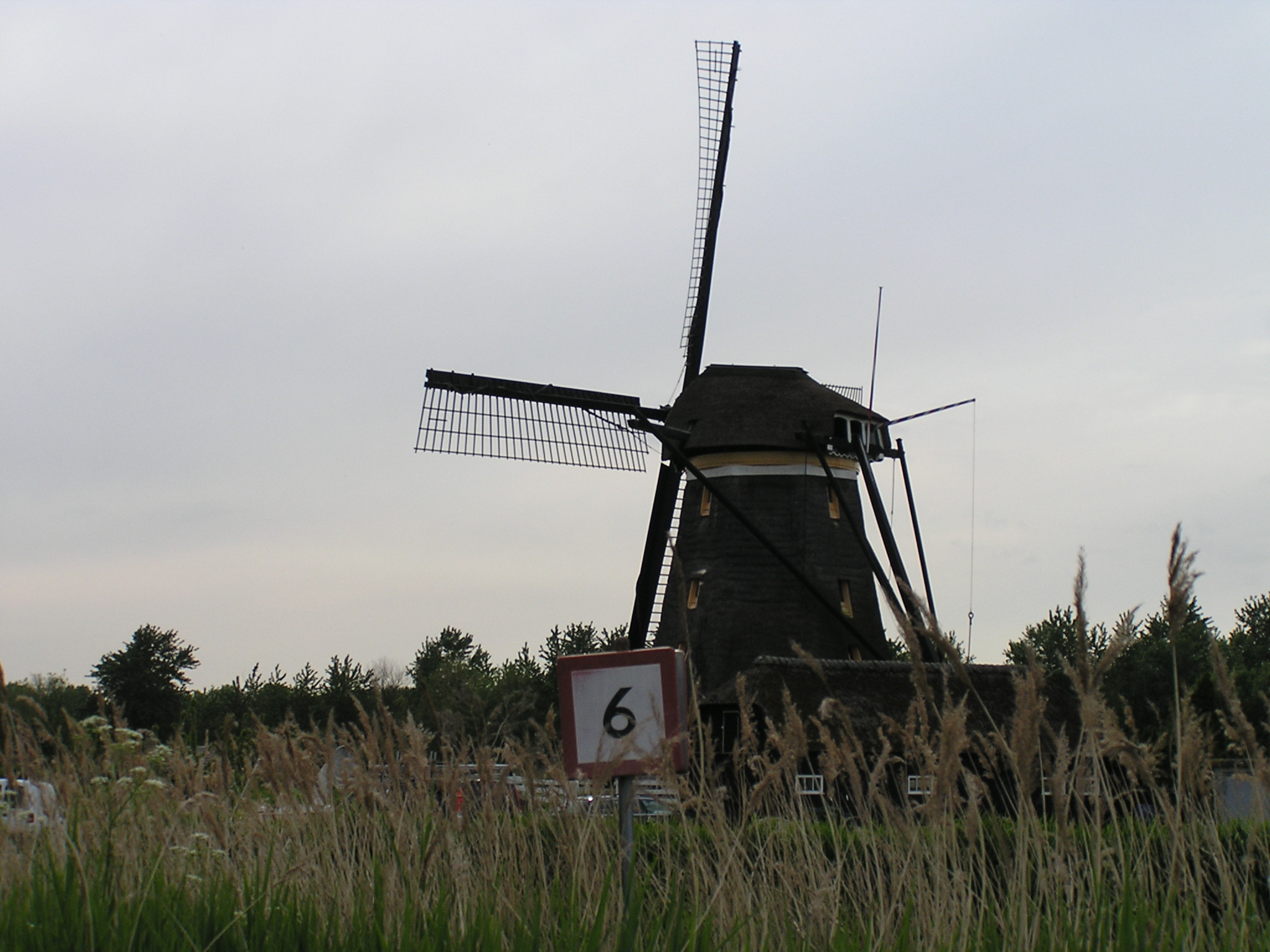 P1010048.JPG
