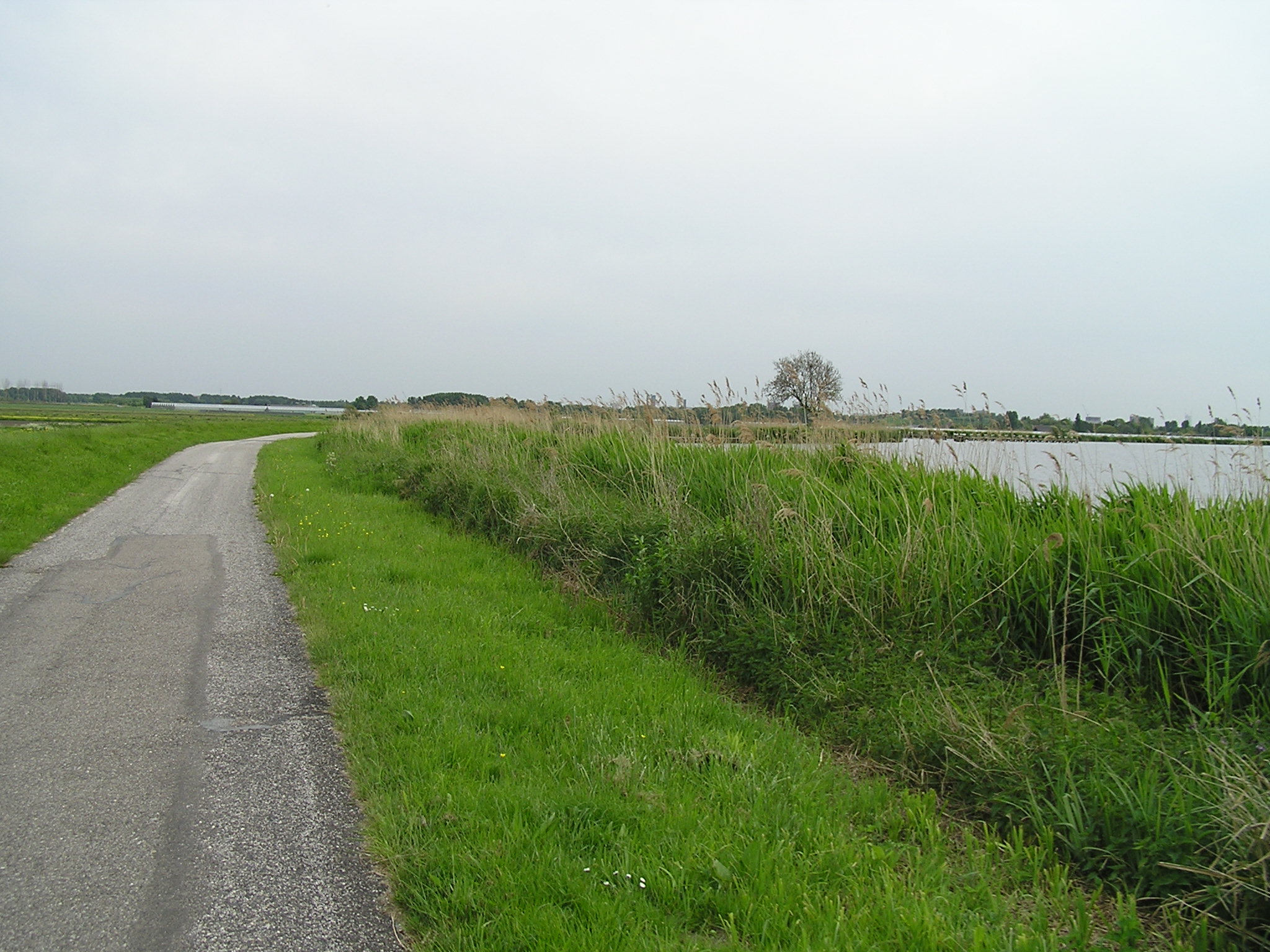 P1010050.JPG