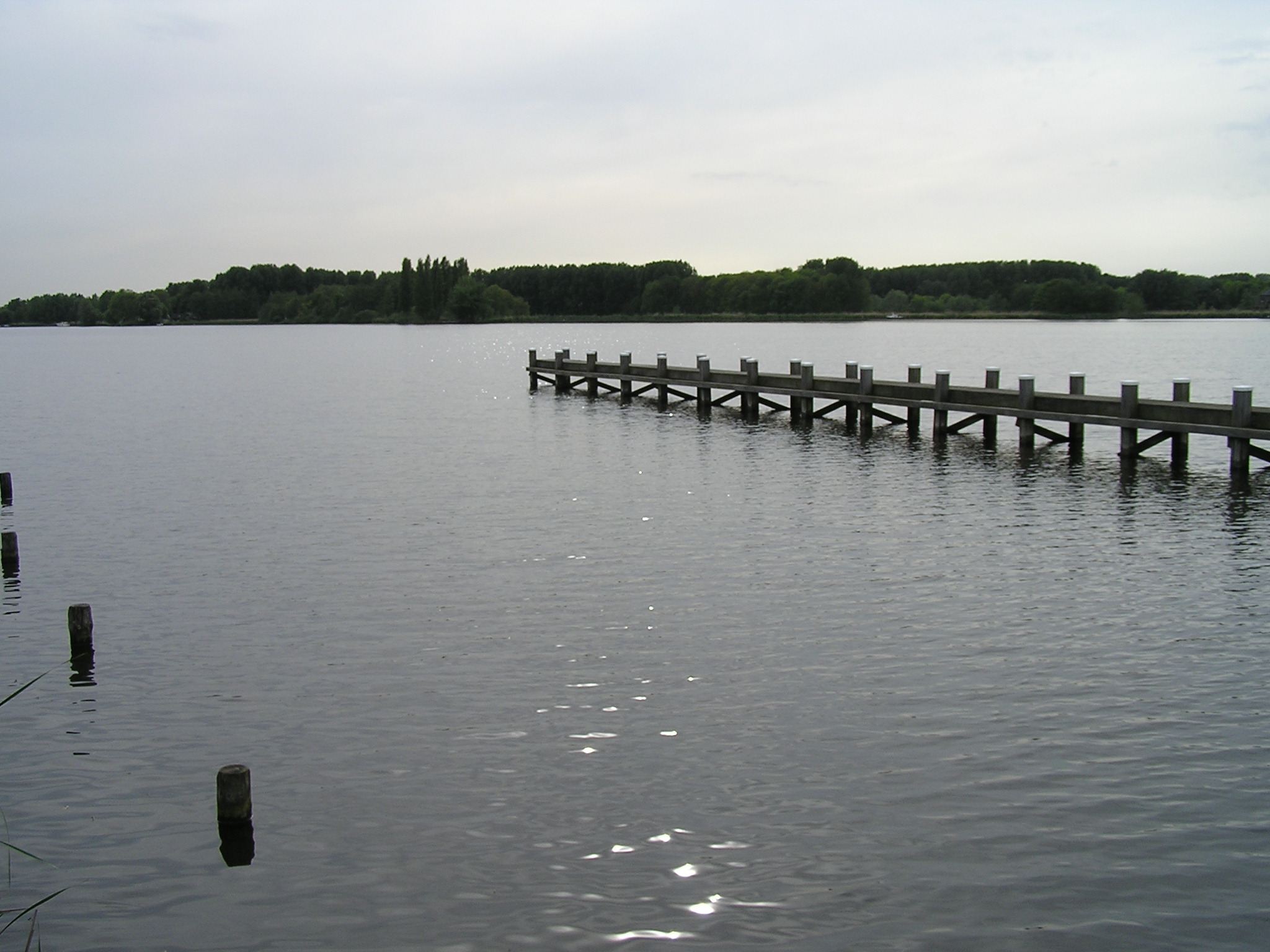 P1010053.JPG