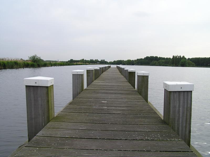 P1010055.JPG