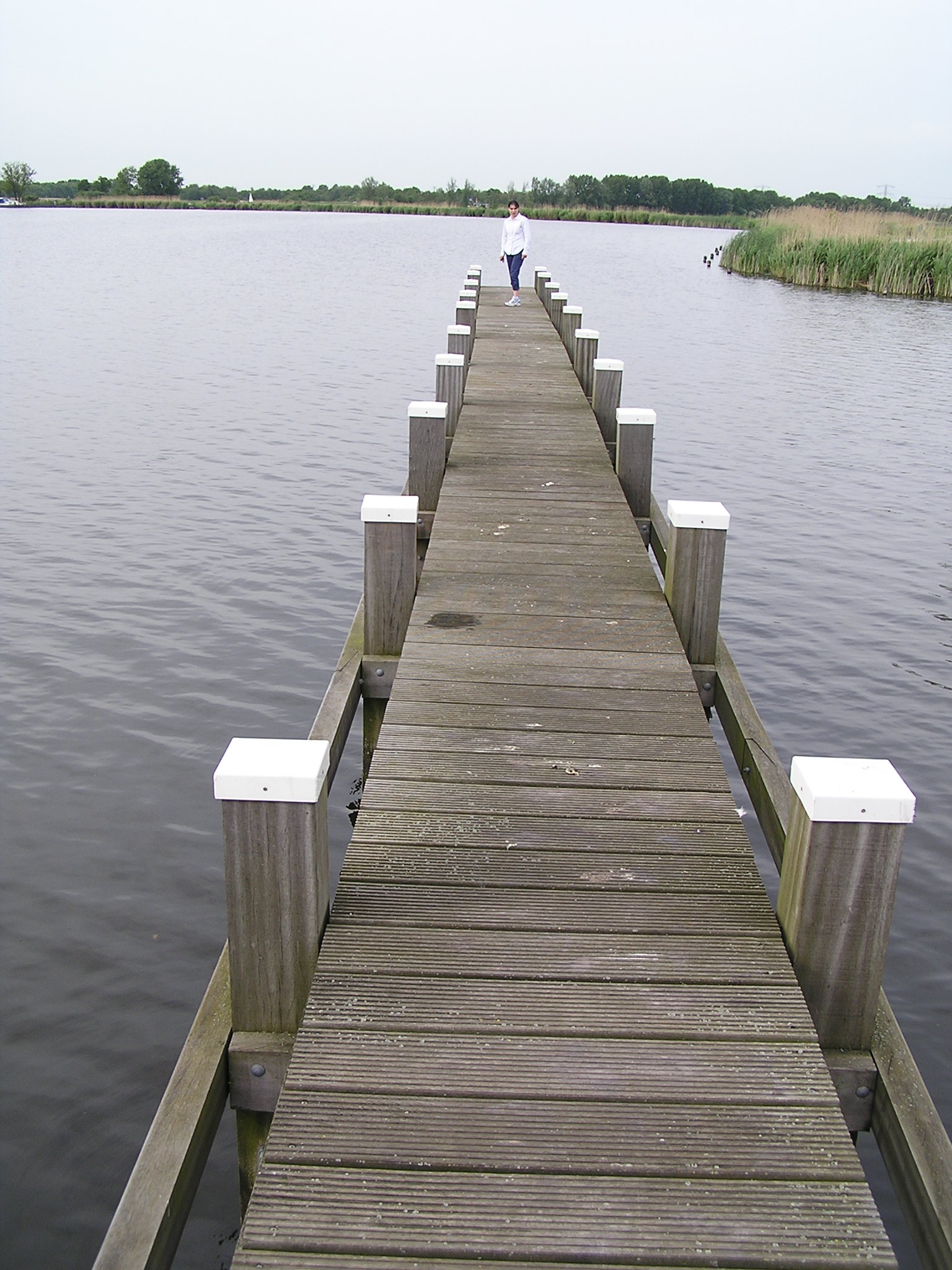P1010056.JPG