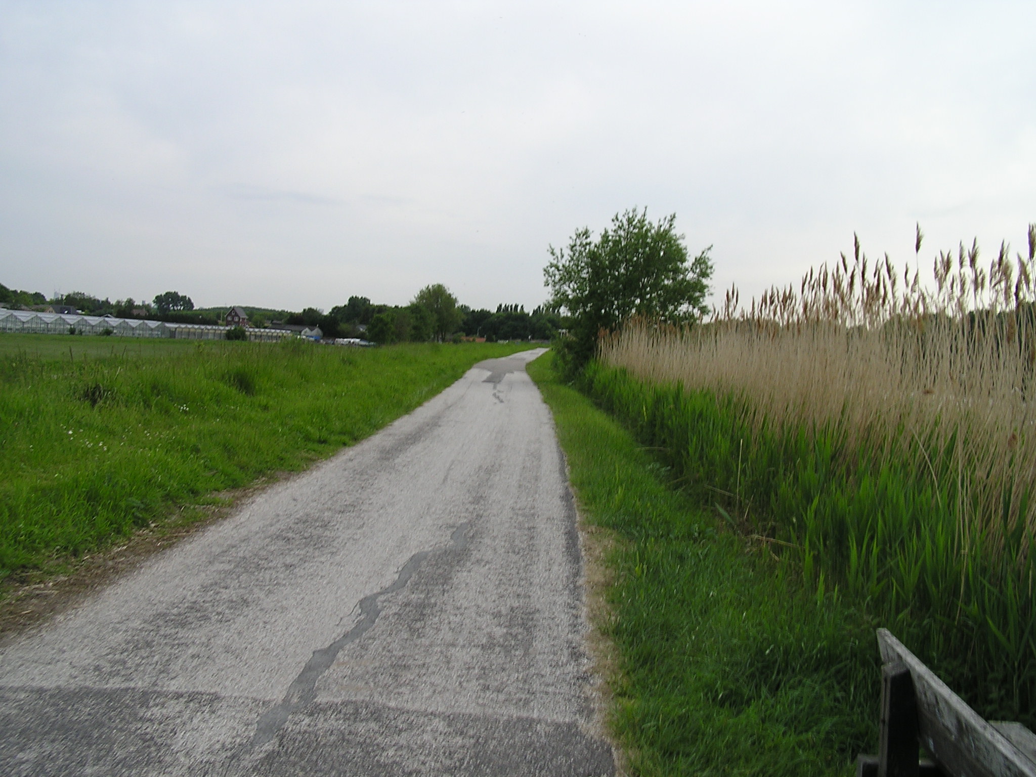 P1010063.JPG