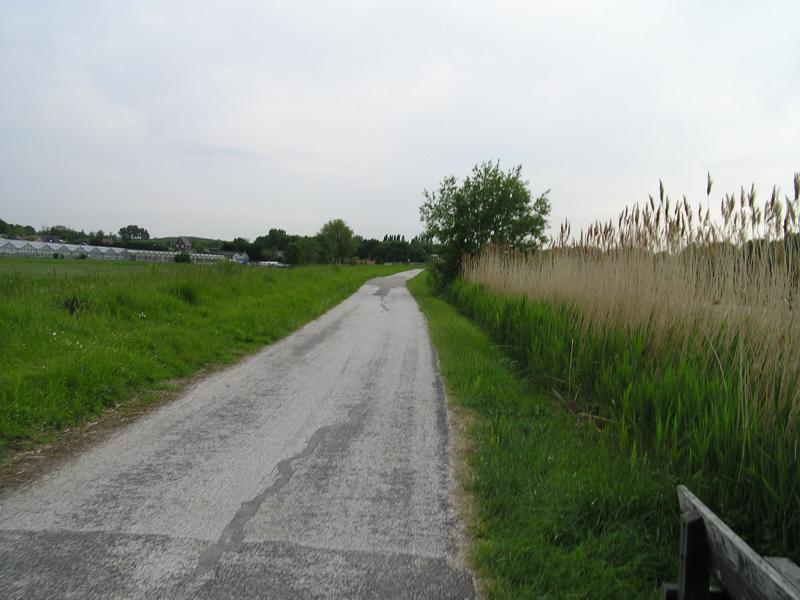 P1010063.JPG