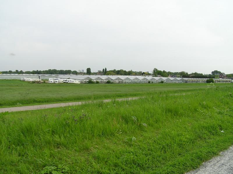 P1010064.JPG