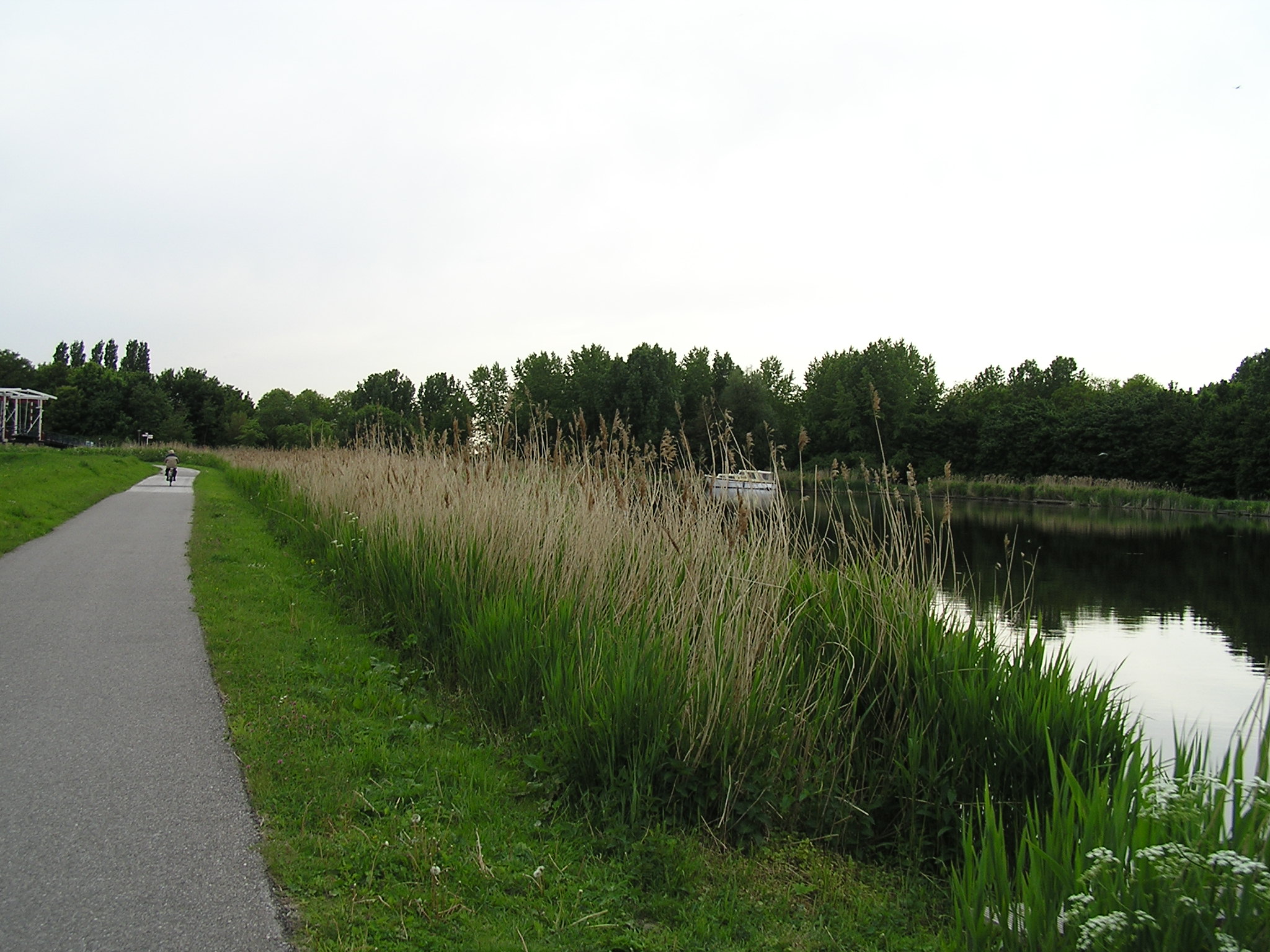 P1010066.JPG