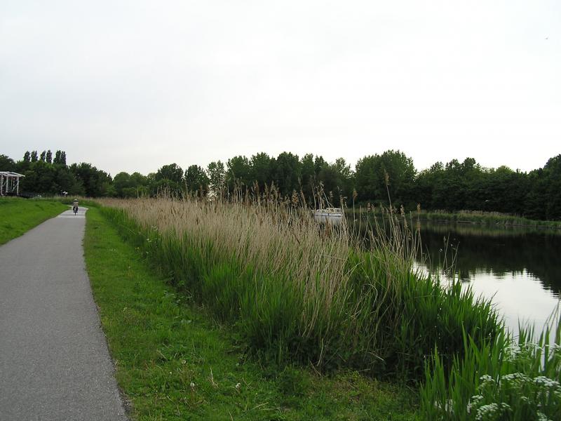 P1010066.JPG