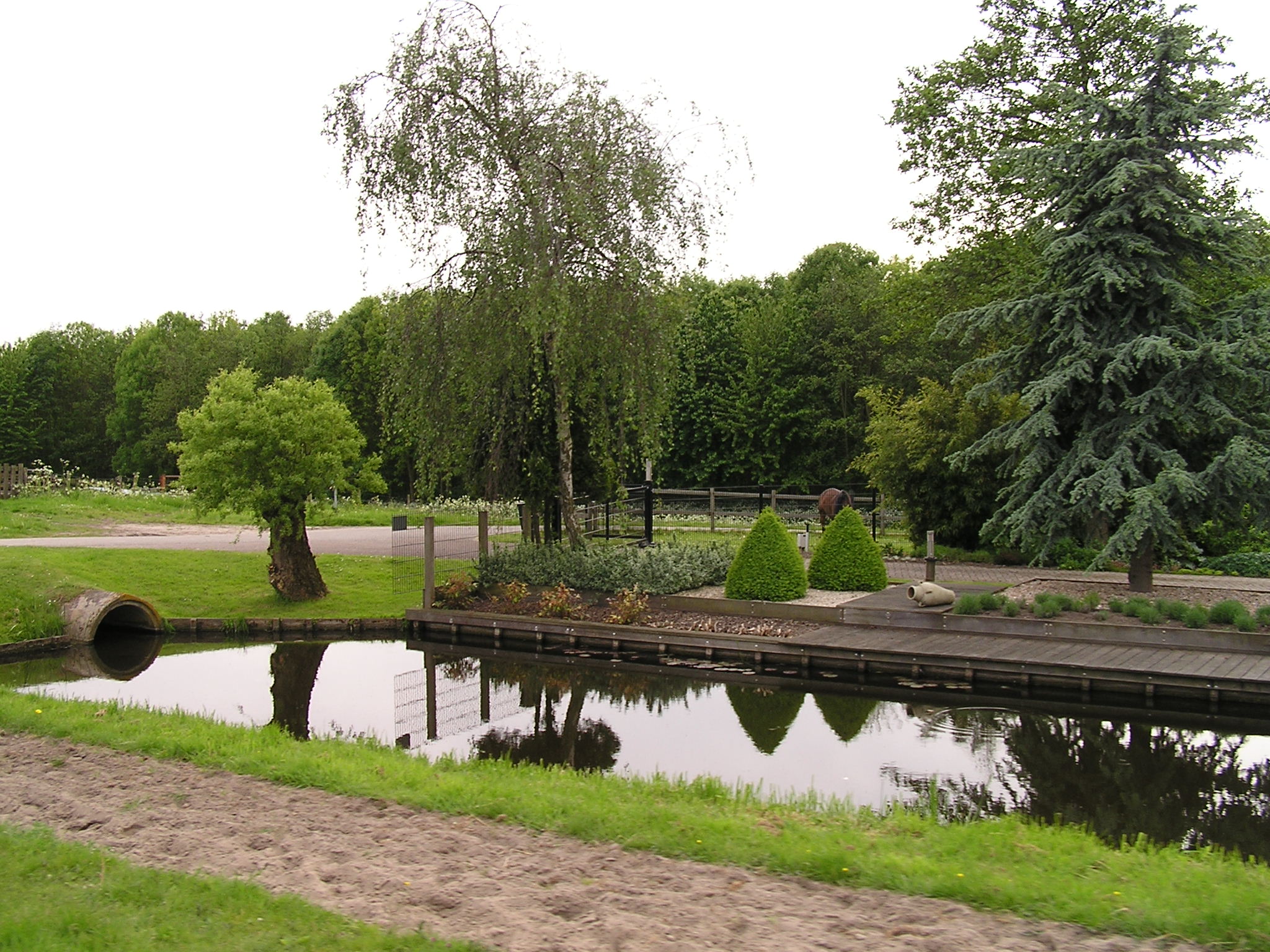 P1010075.JPG