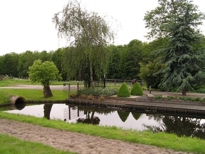 P1010075.JPG