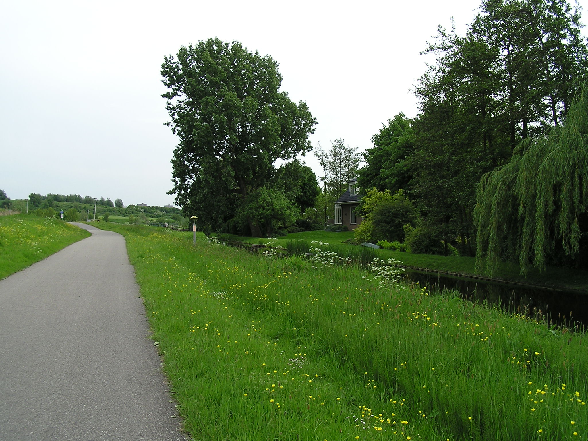 P1010079.JPG