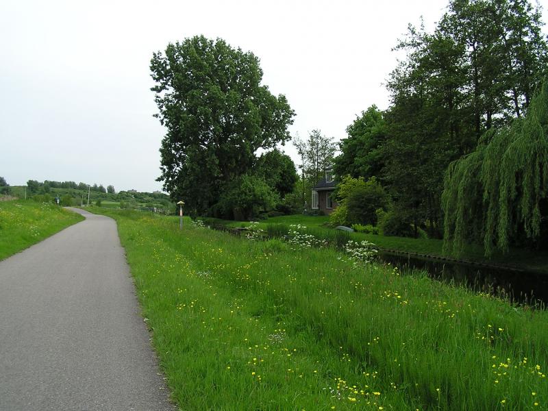 P1010079.JPG