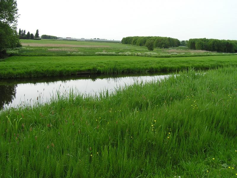 P1010080.JPG