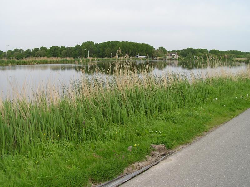 P1010081.JPG
