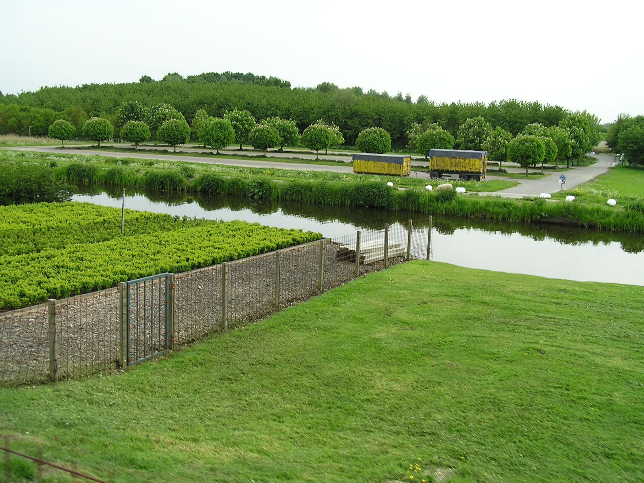 P1010084.JPG