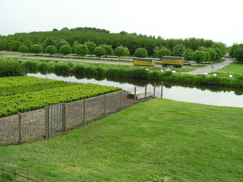 P1010084.JPG