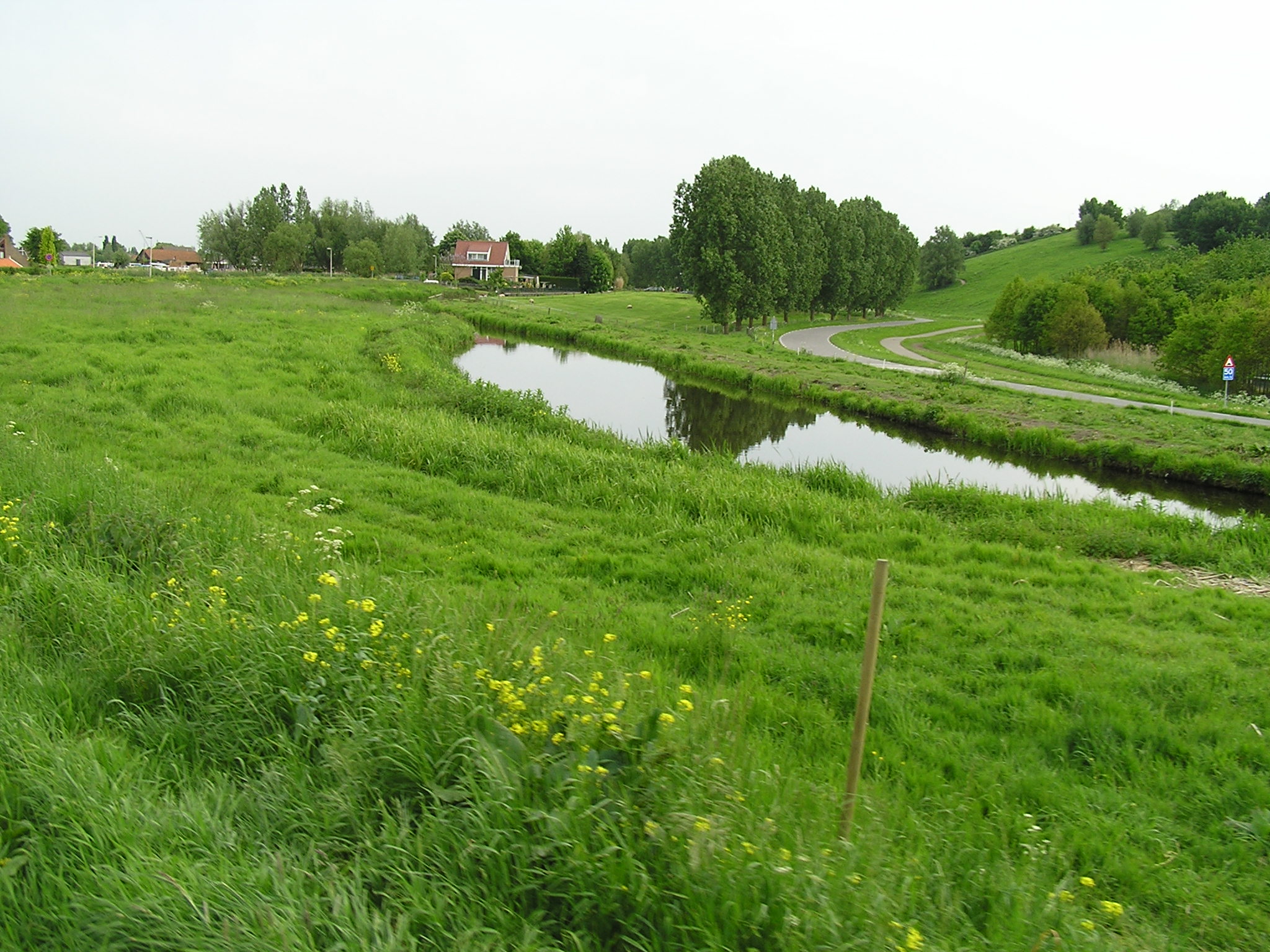 P1010085.JPG