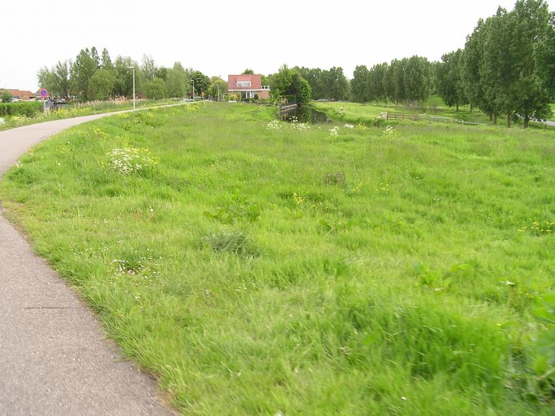 P1010086.JPG