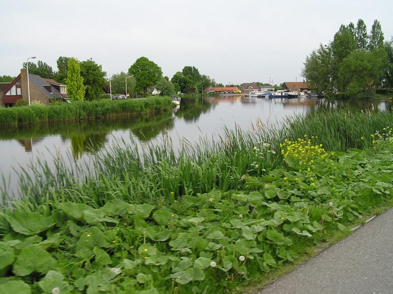 P1010087.JPG