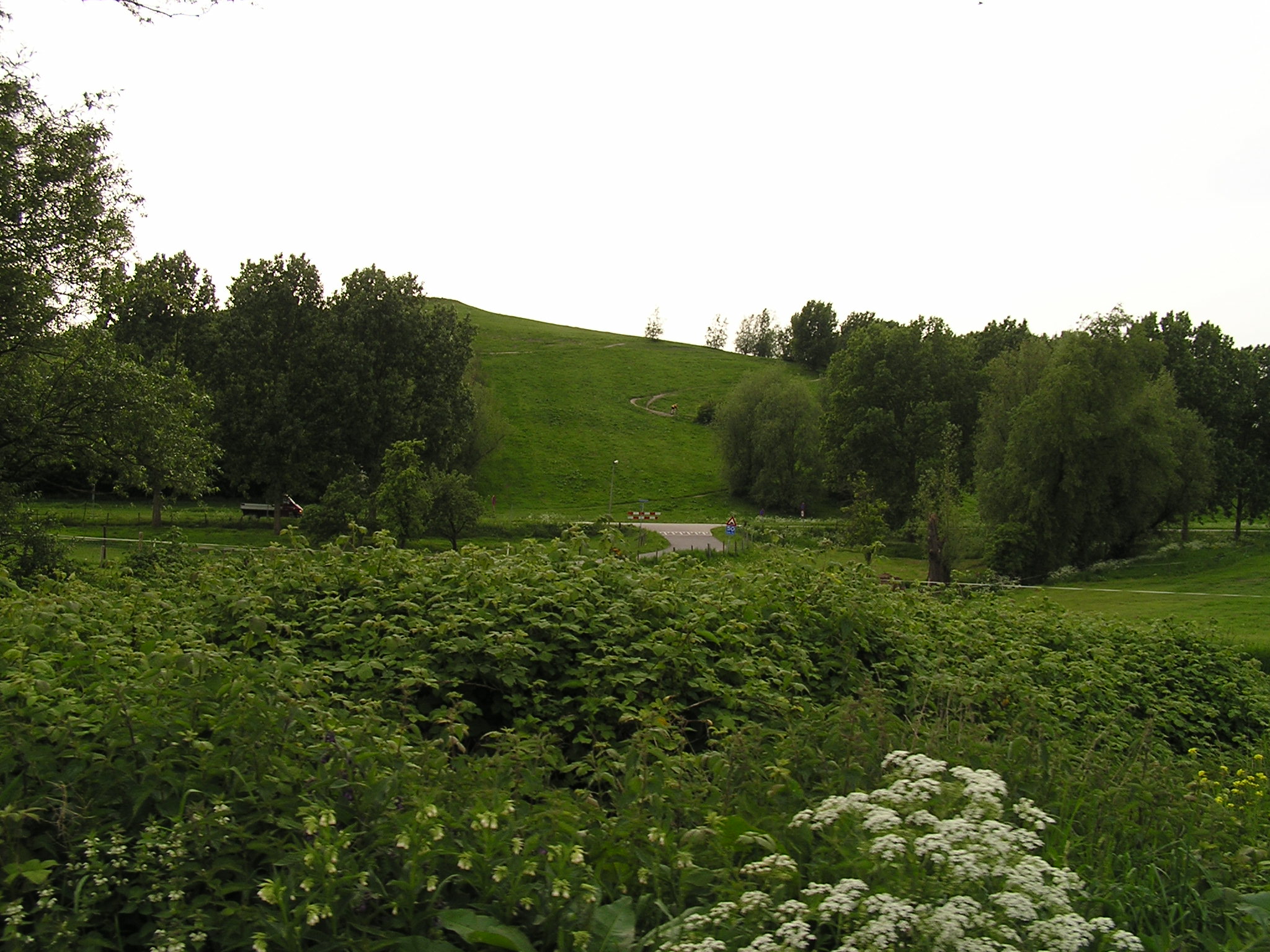 P1010090.JPG