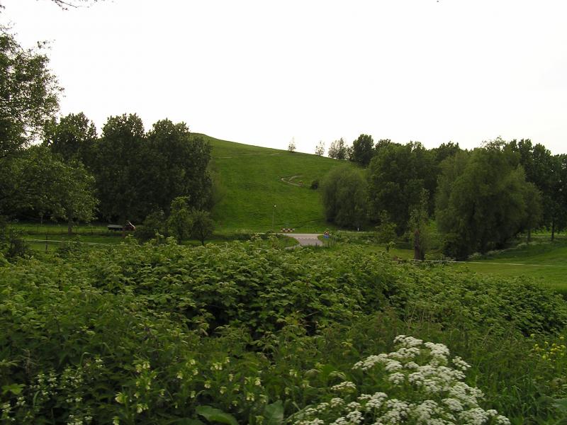 P1010090.JPG