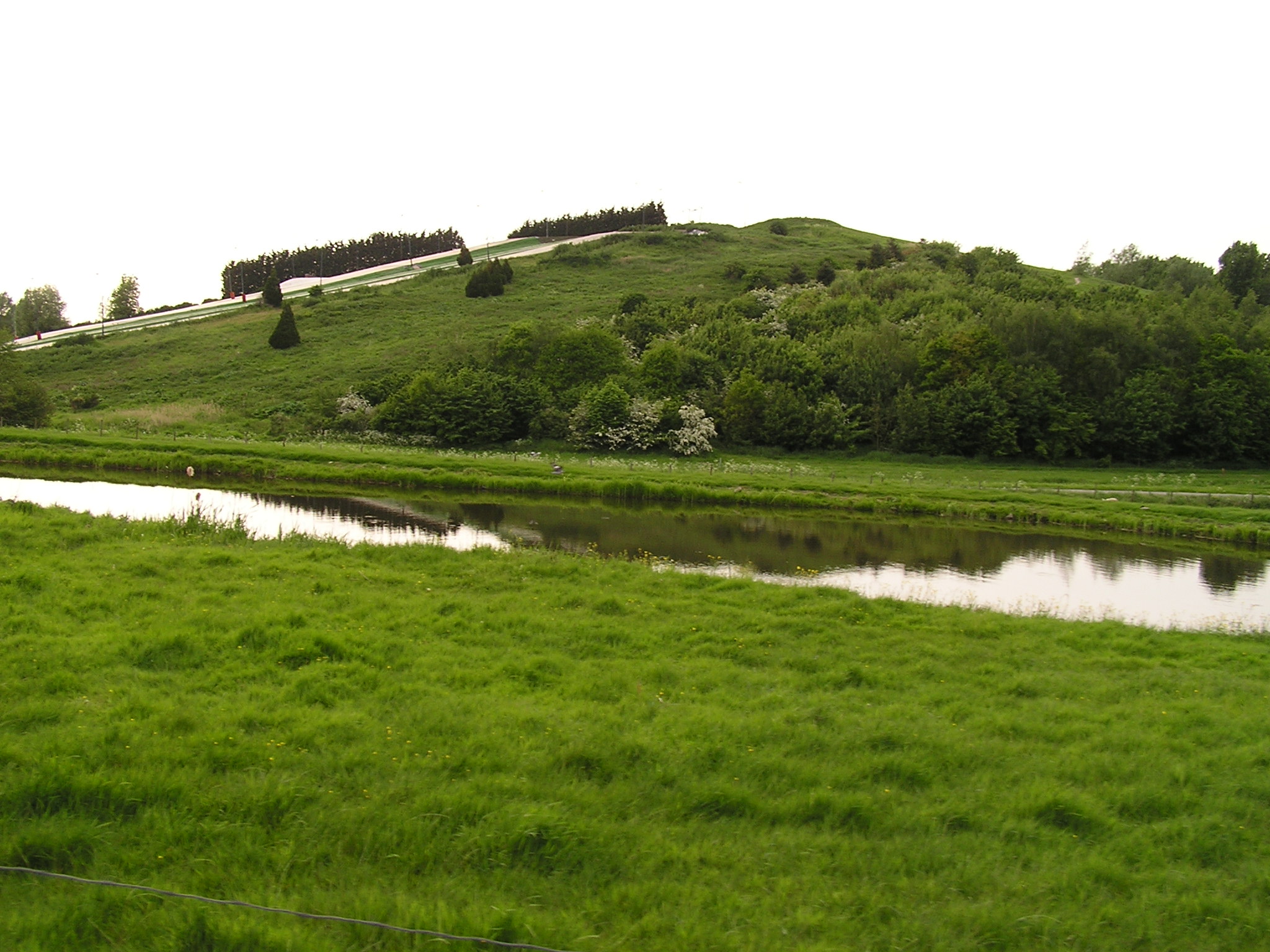 P1010092.JPG