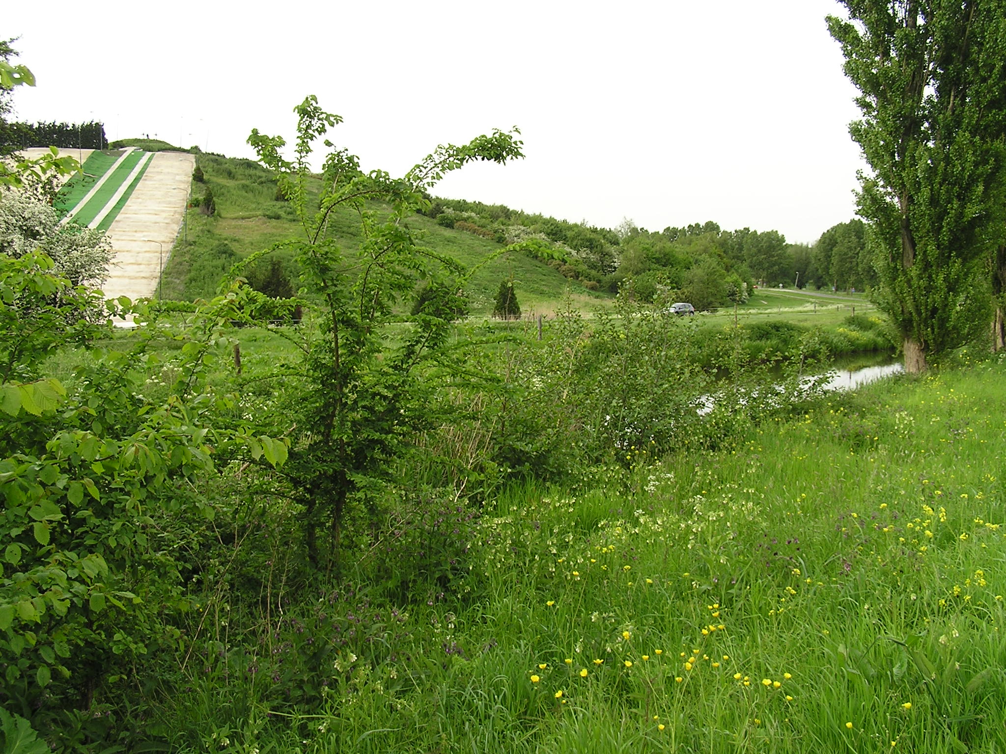 P1010095.JPG