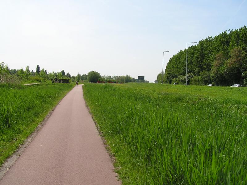 P1010004.JPG
