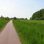P1010004.JPG