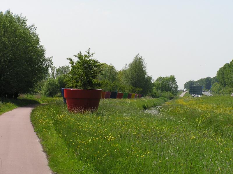 P1010005.JPG