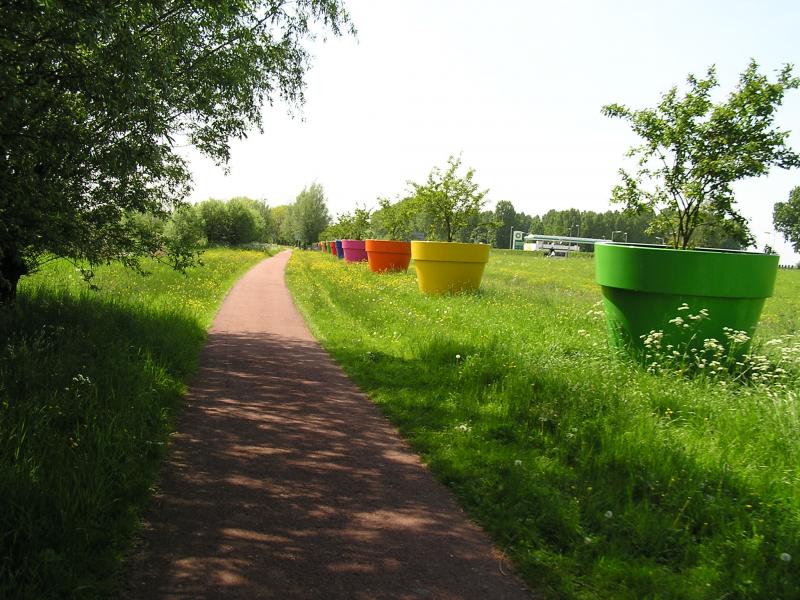 P1010006.JPG