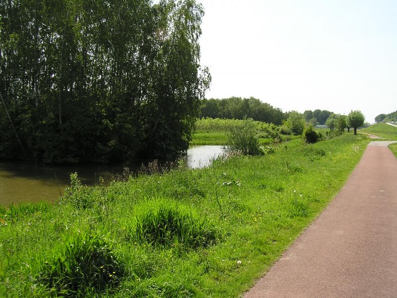 P1010009.JPG