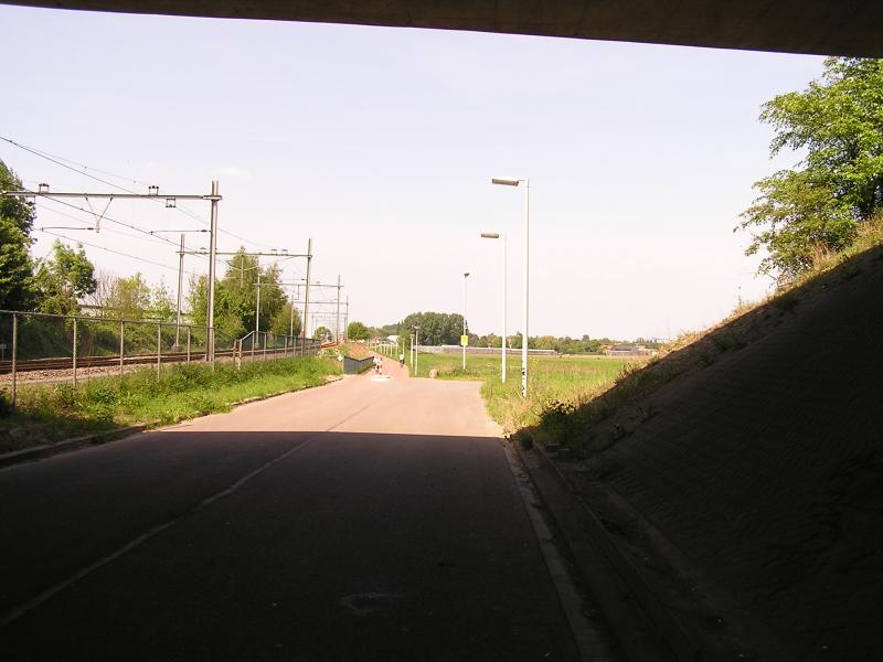 P1010012.JPG