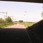 P1010012.JPG