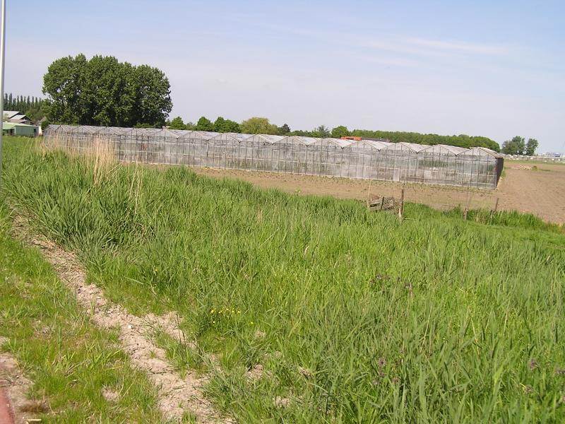 P1010013.JPG