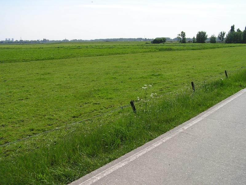 P1010021.JPG
