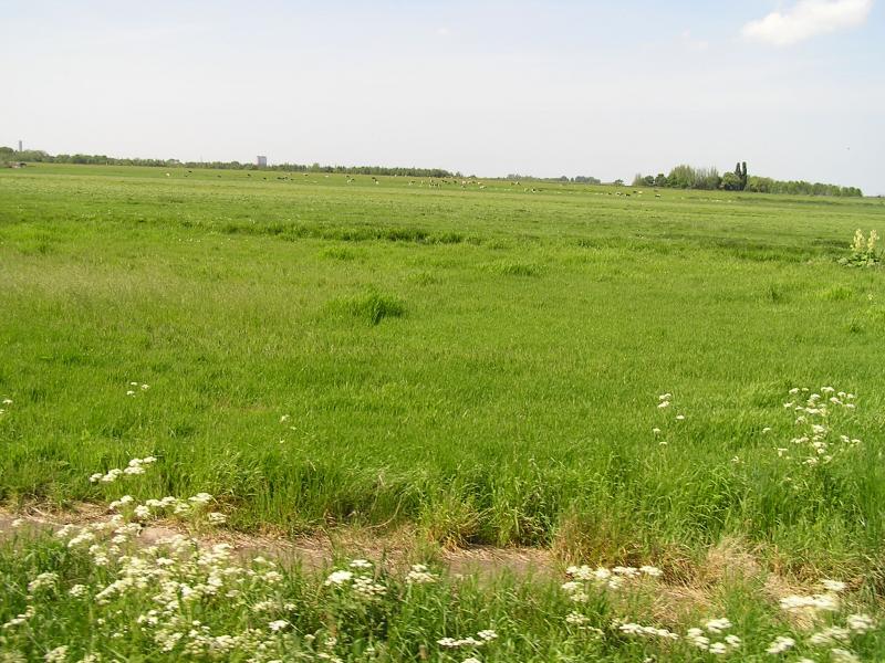 P1010022.JPG