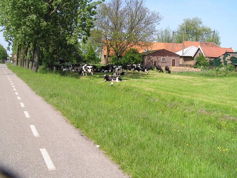 P1010028.JPG