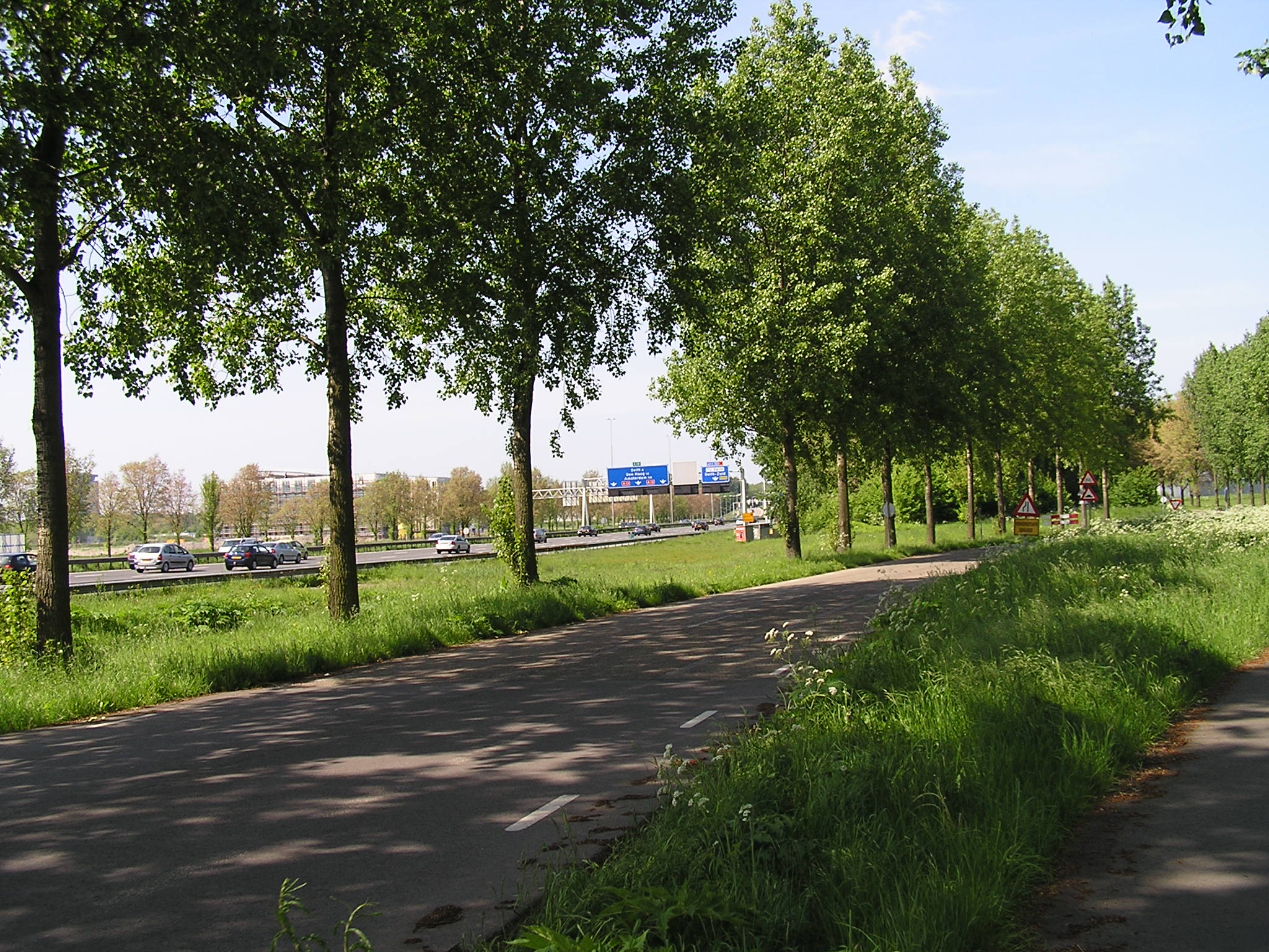 P1010030.JPG
