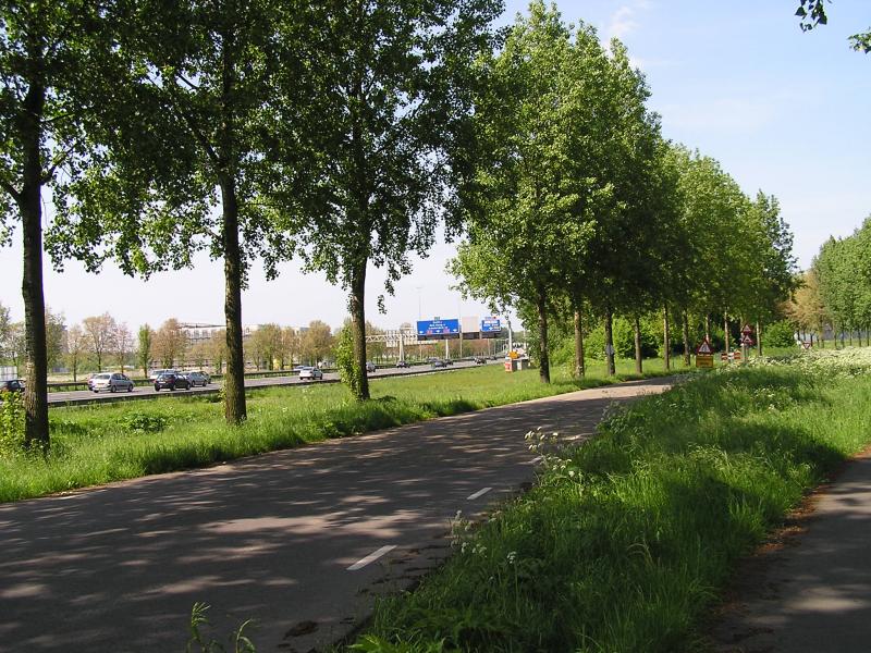 P1010030.JPG