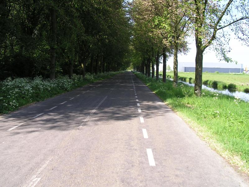 P1010031.JPG