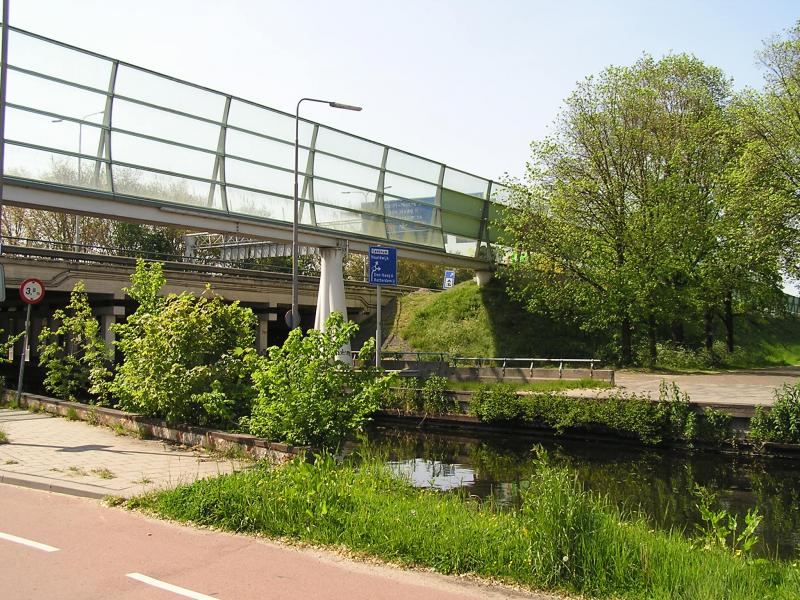 P1010033.JPG