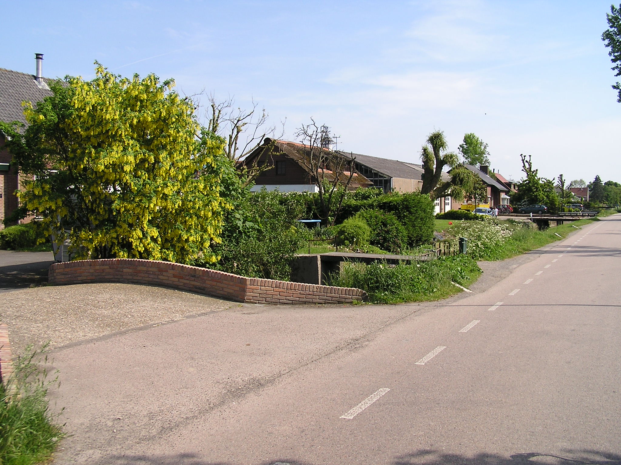 P1010046.JPG