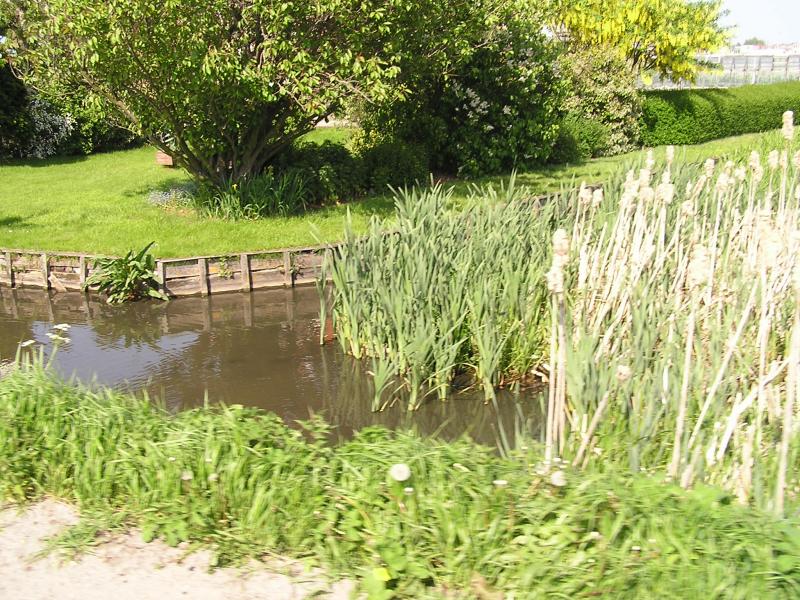 P1010053.JPG