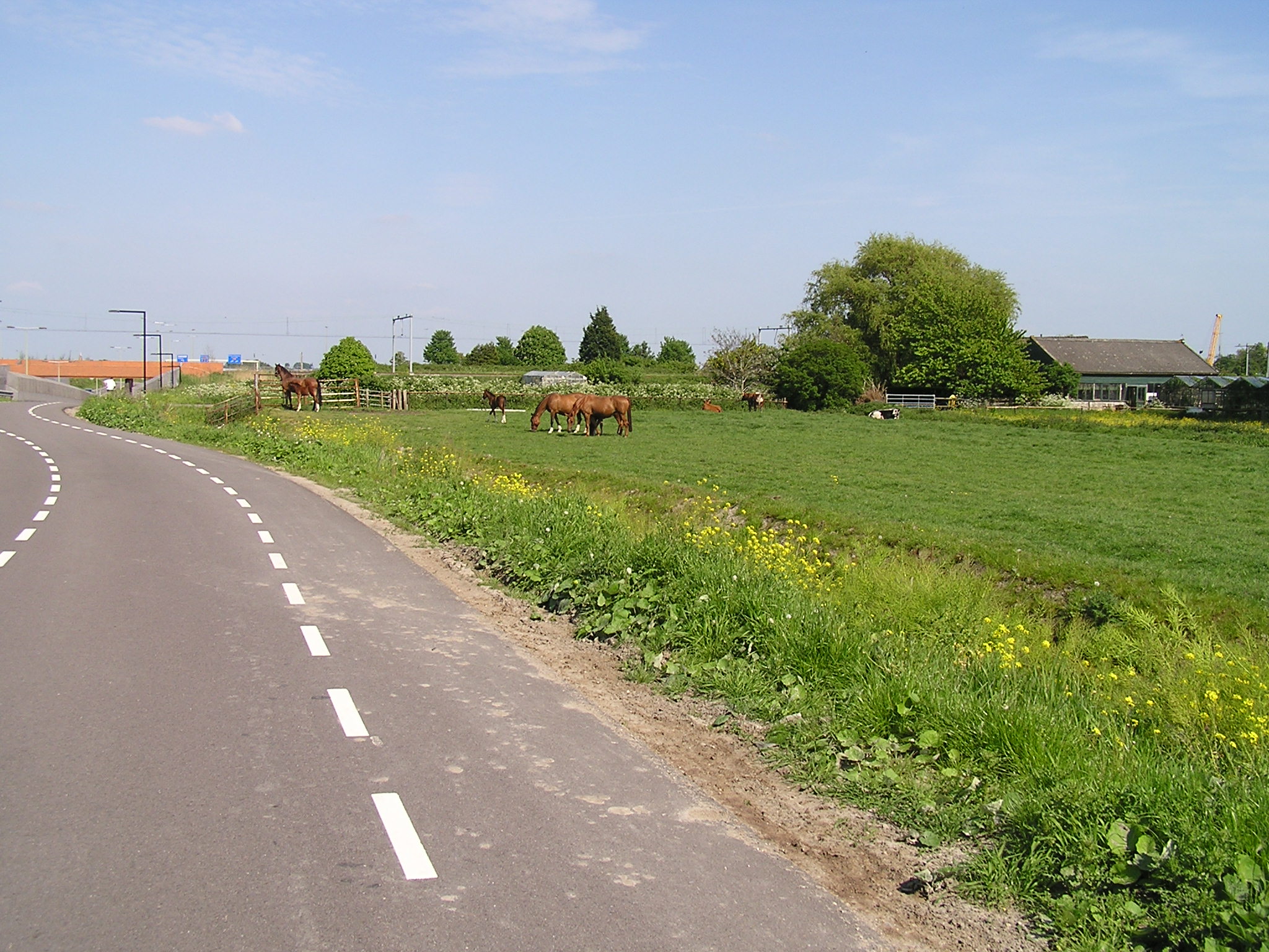 P1010055.JPG