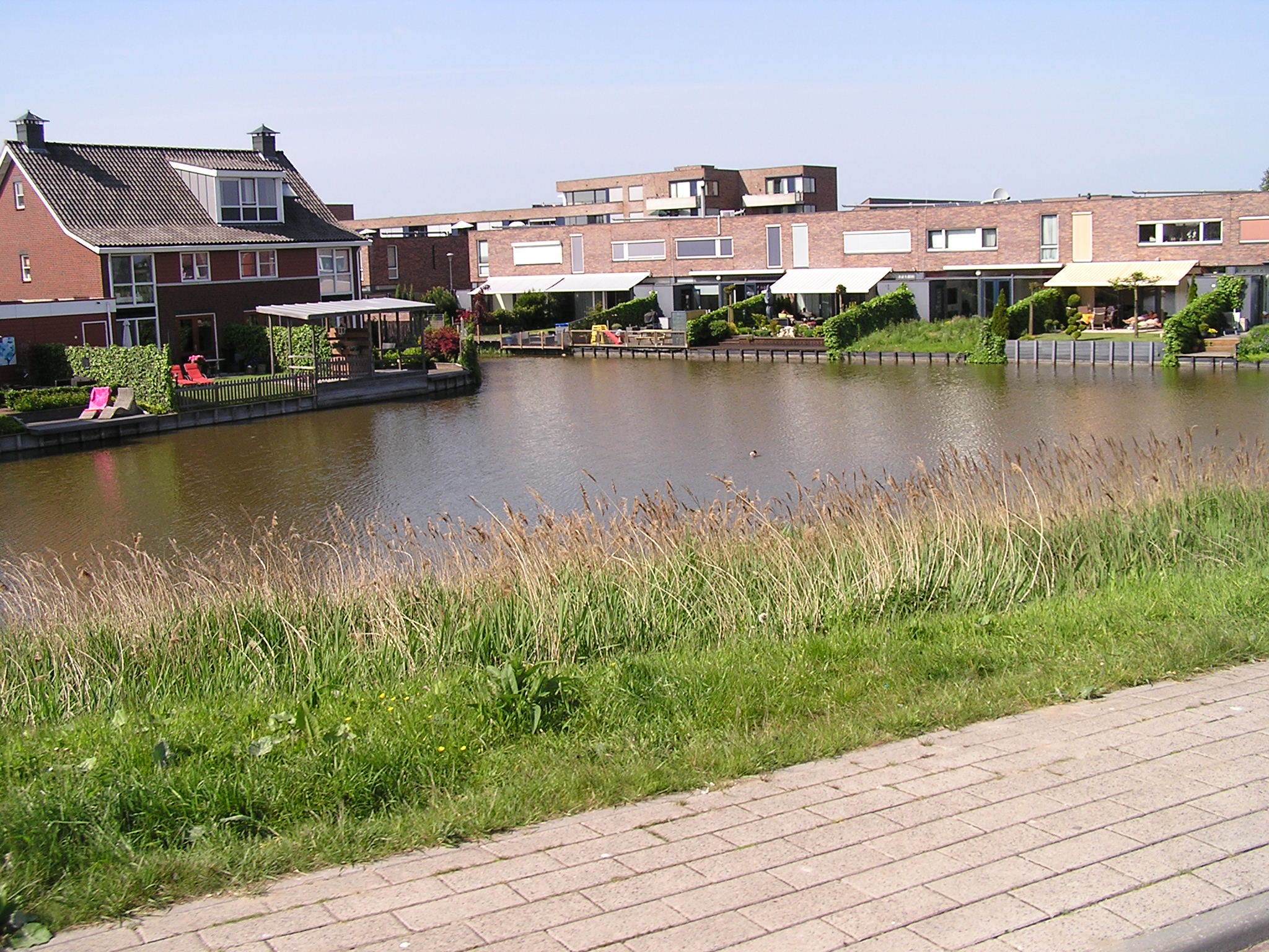 P1010061.JPG